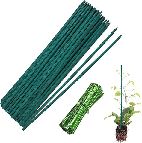 Tuteur simple pour plante