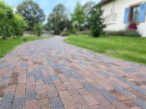 Pavés en terre cuite drainants dans un jardin paysager