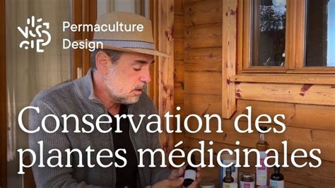 schéma des différentes utilisations des plantes sauvages en purins et décoctions