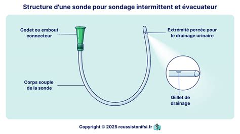 Infographie illustrant le rôle d'une sonde d'humidité dans un système de micro-irrigation