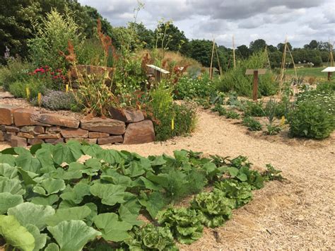 Paysage bucolique d'un jardin en permaculture