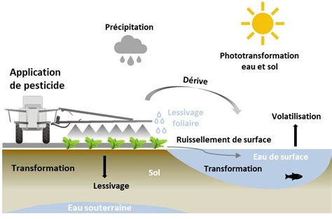 Schéma illustrant le cycle de transfert des pesticides des champs vers les cours d'eau et les nappes phréatiques