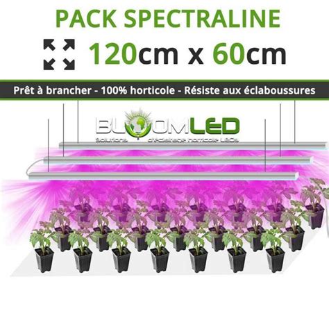 Éclairage LED adapté pour boutures