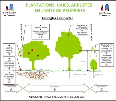 Schéma explicatif illustrant la limite de propriété et l'empiétement végétal