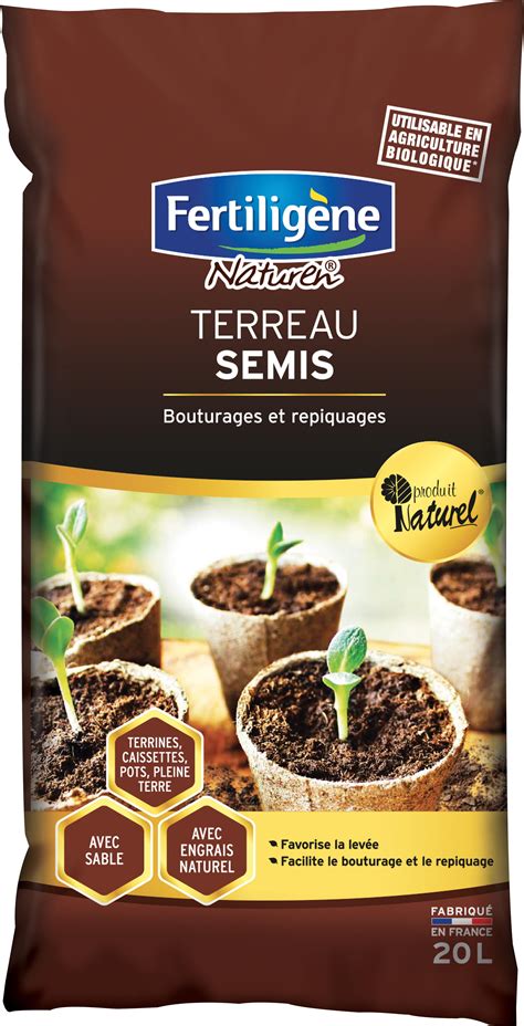 Barquettes de semis remplies de terreau