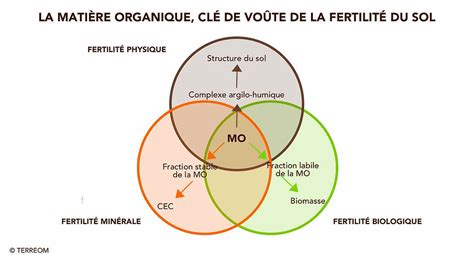 Infographie comparant la fertilité naturelle et artificielle