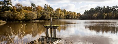 Paysage typique de la forêt et des étangs de Sologne
