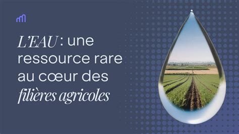 Dolomite : ressource rare et essentielle pour l'Almanax