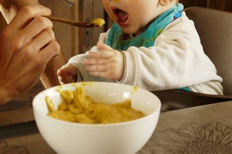 bébé mangeant de la purée de fruits