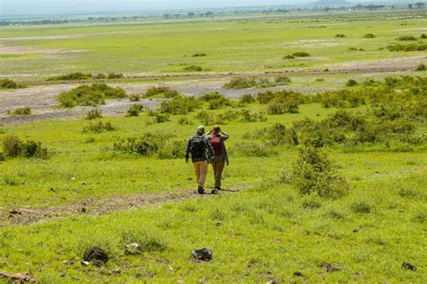 Personnes marchant en musique à travers un paysage verdoyant