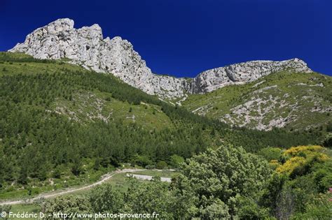 Montagne Sainte-Baume