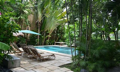 Piscine de la Villa Manguier entourée de végétation tropicale