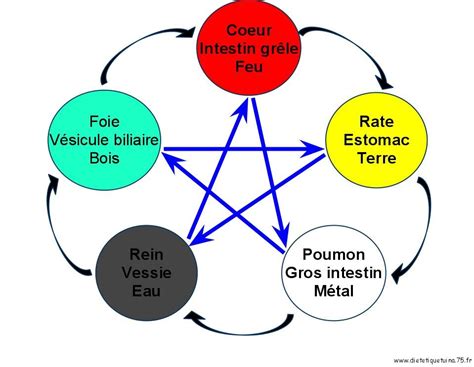 Diagramme illustrant les cycles Sheng et Ke des cinq éléments