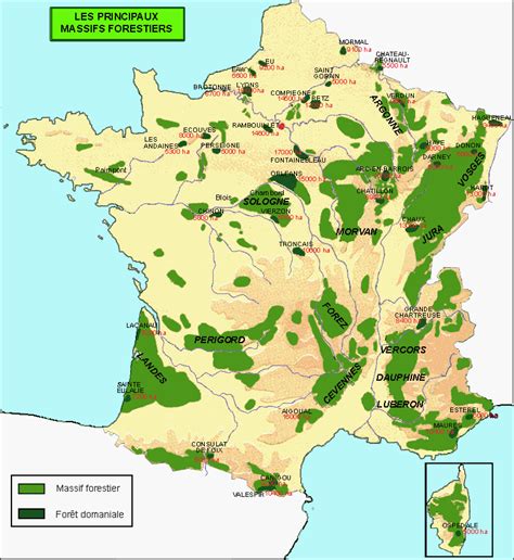 Carte thématique montrant la répartition des massifs forestiers et des zones de reboisement en France