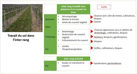 Schéma illustrant les différentes zones de travail du sol : rang, inter-rang et flancs de butte
