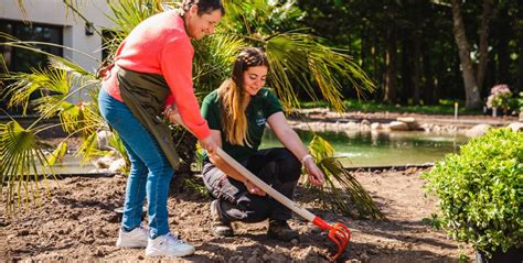 Photo d'un professionnel en train d'échanger avec un client dans un jardin en cours d'aménagement