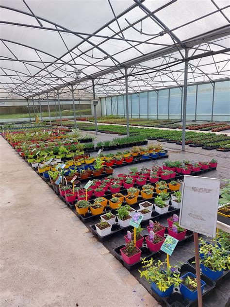 Vue aérienne des serres maraîchères de SULHOUËT jardin à Hennebont