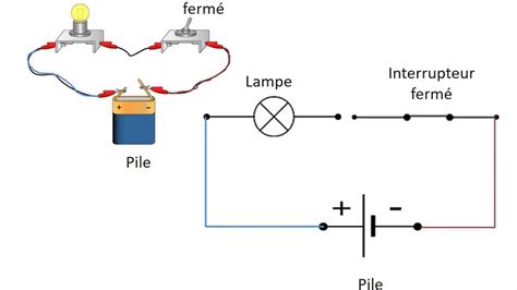 Schéma explicatif des composants d'un coupe-bordure électrique