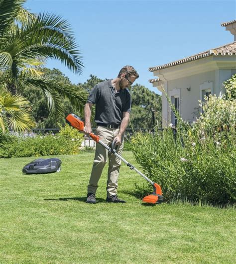 Photo de mise en situation : Utilisation d'un coupe-bordure pour une finition propre