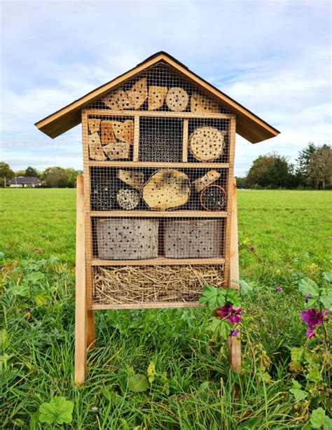 hôtel à insectes