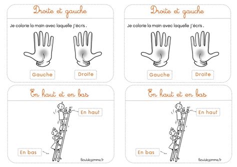 Schéma comparatif : À gauche, une illustration d'un gâteau Vaucluse monté en couches ; à droite, un schéma botanique d'un plant de framboisier avec ses cannes et ses fruits.