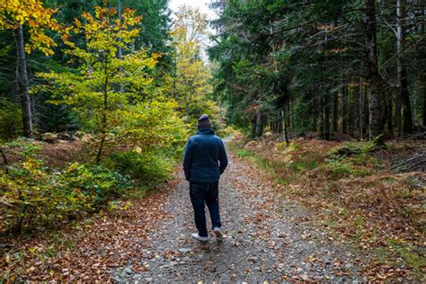 Promeneur en forêt en automne