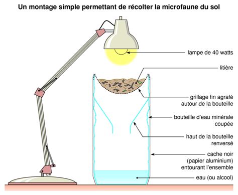 Schéma d'un appareil de Berlèse