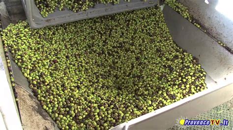 Graphique illustrant le rendement de trituration des olives par hectare