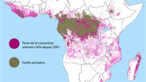Carte de la diversité des écosystèmes forestiers en Afrique