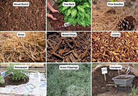Different types of mulch comparison table