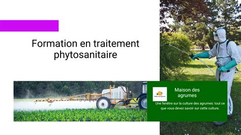 Infographie sur les économies de produits phytosanitaires avec panneaux récupérateurs