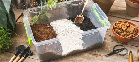 Exemples de substrats pour succulentes