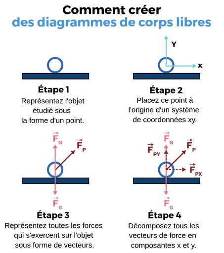Diagramme de corps libre illustrant les forces appliquées aux lames du sécateur lors de la coupe