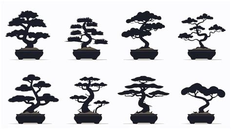 Schéma illustrant les différentes silhouettes de base en bonsaï