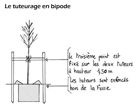 Schéma explicatif d'un tuteur cylindrique réalisé avec des roues de vélo