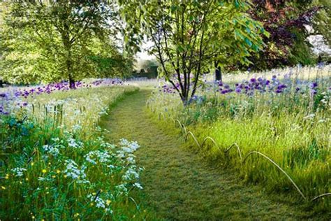 Photo montrant un sentier tondu à travers une prairie fleurie dans un jardin résidentiel