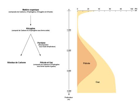 Diagramme de la formation du kérogène