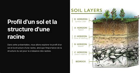 Profil de sol avec différentes textures et capacité de rétention d'eau