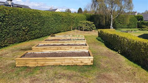Exemple de jardinières surélevées et d'allées accessibles dans un jardin inclusif