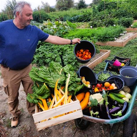 Légumes bio cultivés dans l'Aube