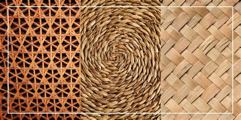 Comparatif visuel des textures : bambou, noisetier, osier et bruyère
