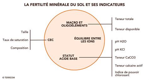 Schéma illustrant le parcours du recueil de sperme en laboratoire de fertilité