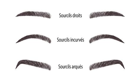 Schéma illustrant les différentes techniques d'application de l'huile sur les sourcils et les cils