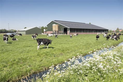 Désherbage efficace dans une exploitation agricole moderne
