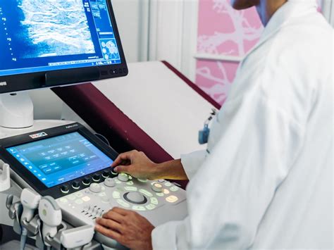 Image montrant un spécialiste réalisant une échographie sur un esturgeon