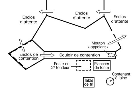 Schéma comparatif des différentes méthodes de tonte : au sol, en couloir et en salle dédiée