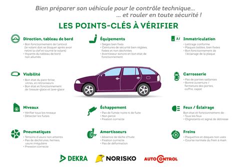 Infographie sur les points de contrôle d'entretien d'un scarificateur électrique