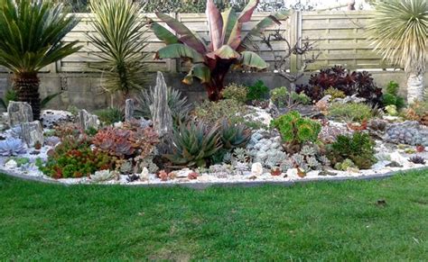 Jardin de succulentes