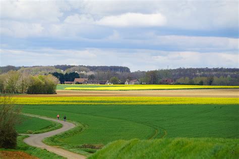 Paysage de la campagne Sarthoise avec des serres horticoles
