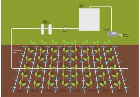 Schéma d'un système d'irrigation efficace pour l'agriculture